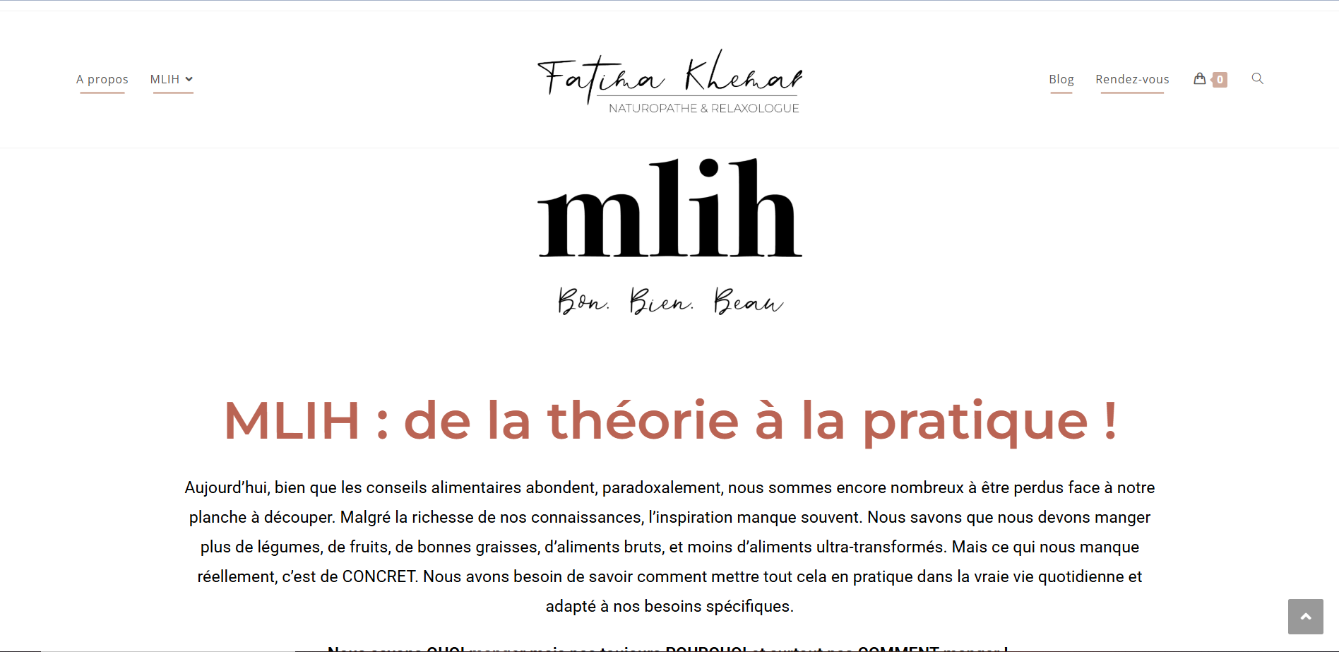 Apperçu site client Mlih